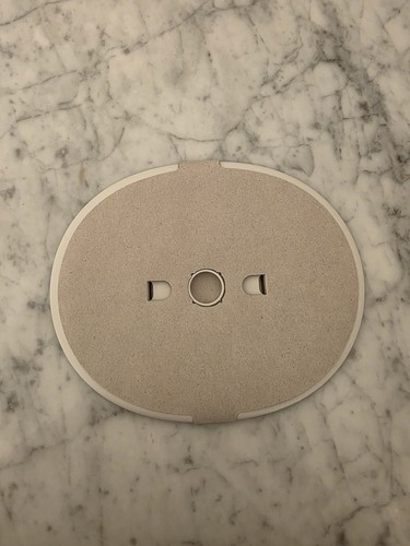 New google nest 4th - 4th, generation
